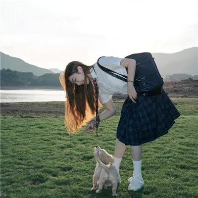 凤皇传